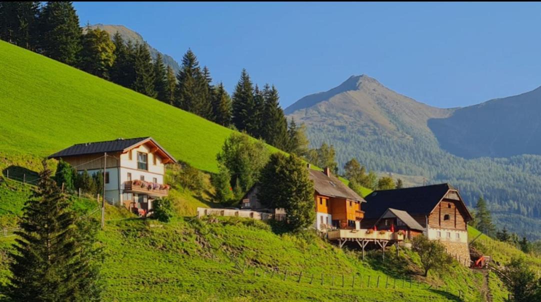 Chalet Leo Michaelerberg Экстерьер фото